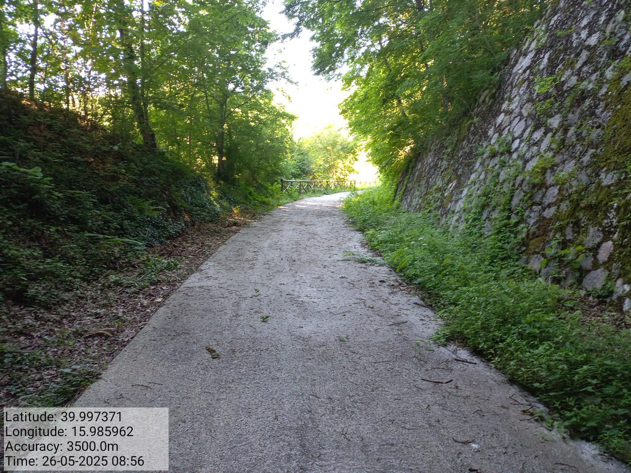 Galleria Fotografica Immagine