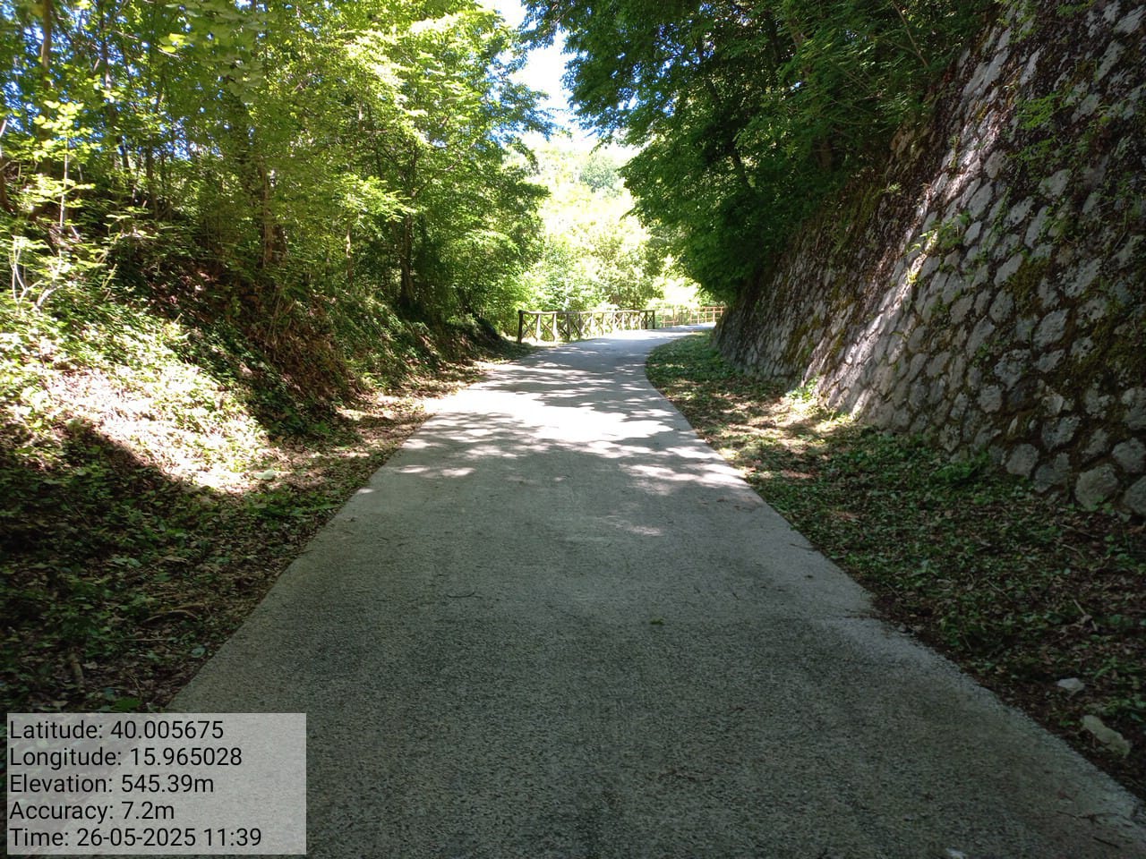 Galleria Fotografica Immagine