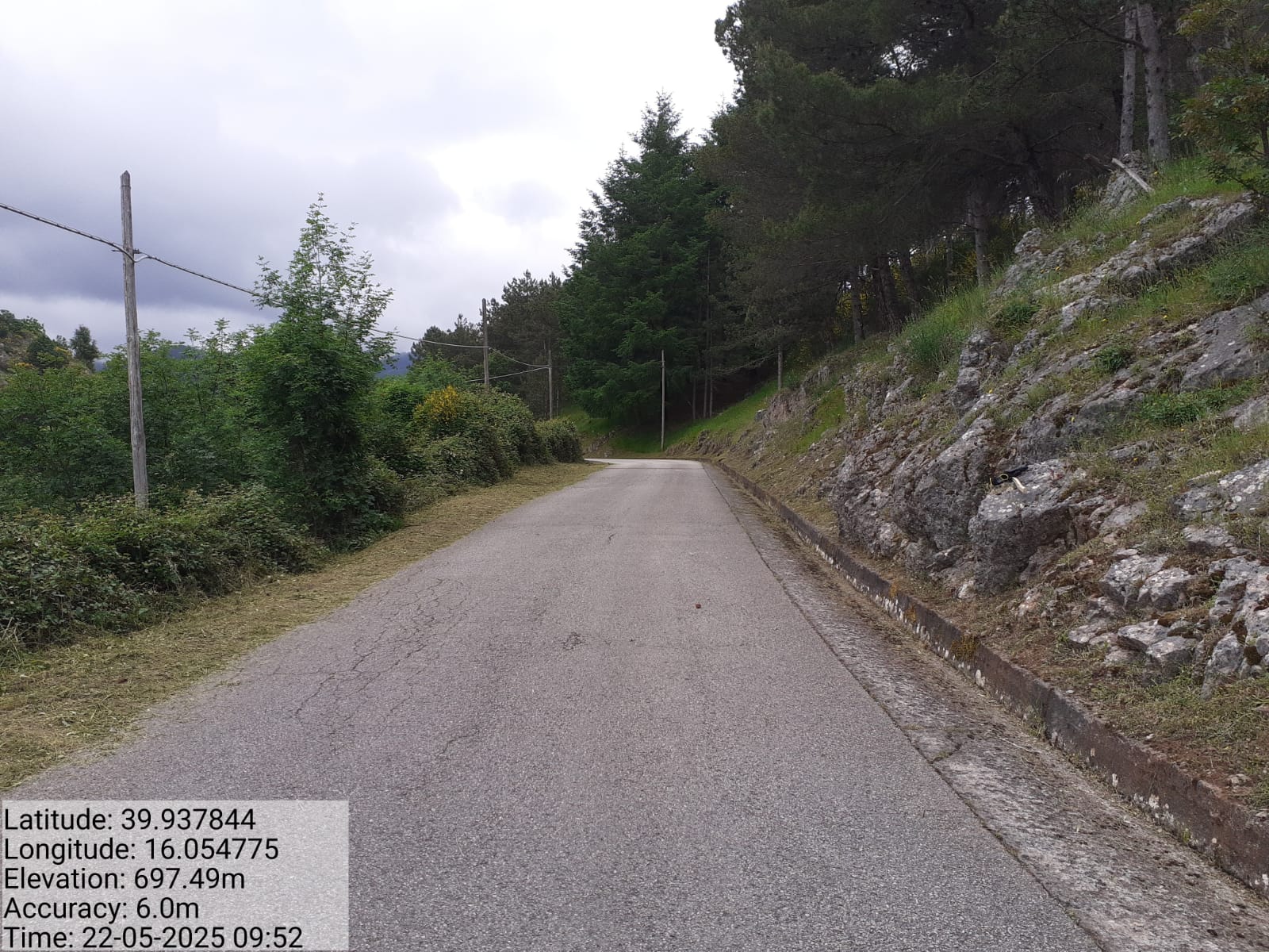 Galleria Fotografica Immagine