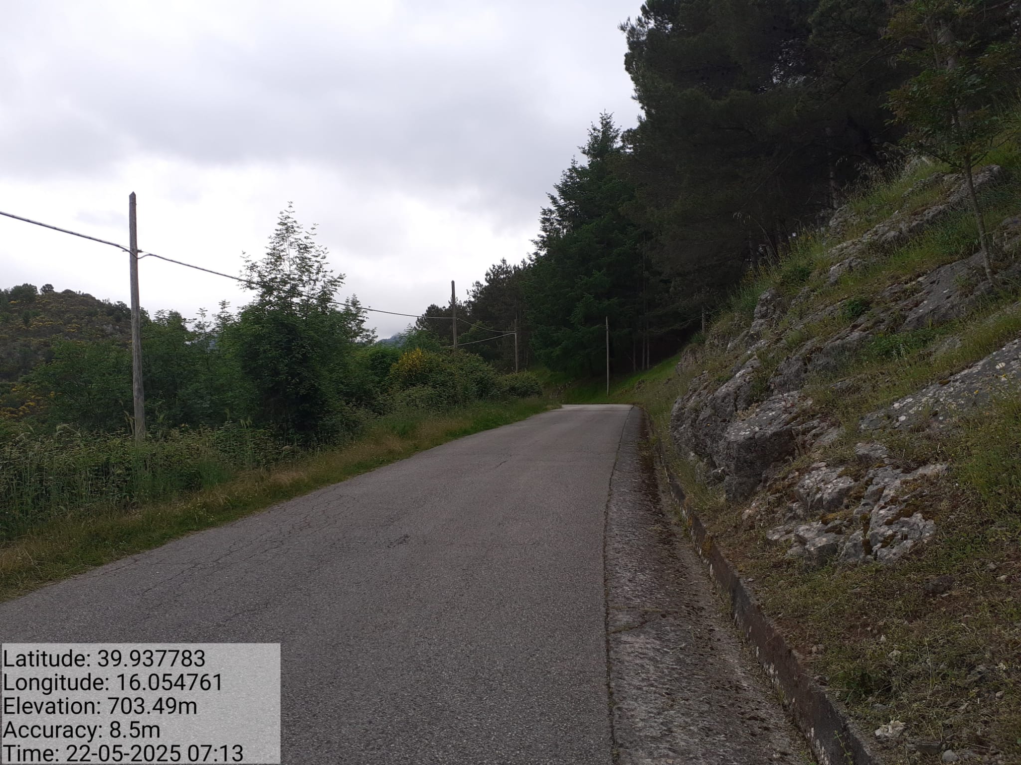 Galleria Fotografica Immagine