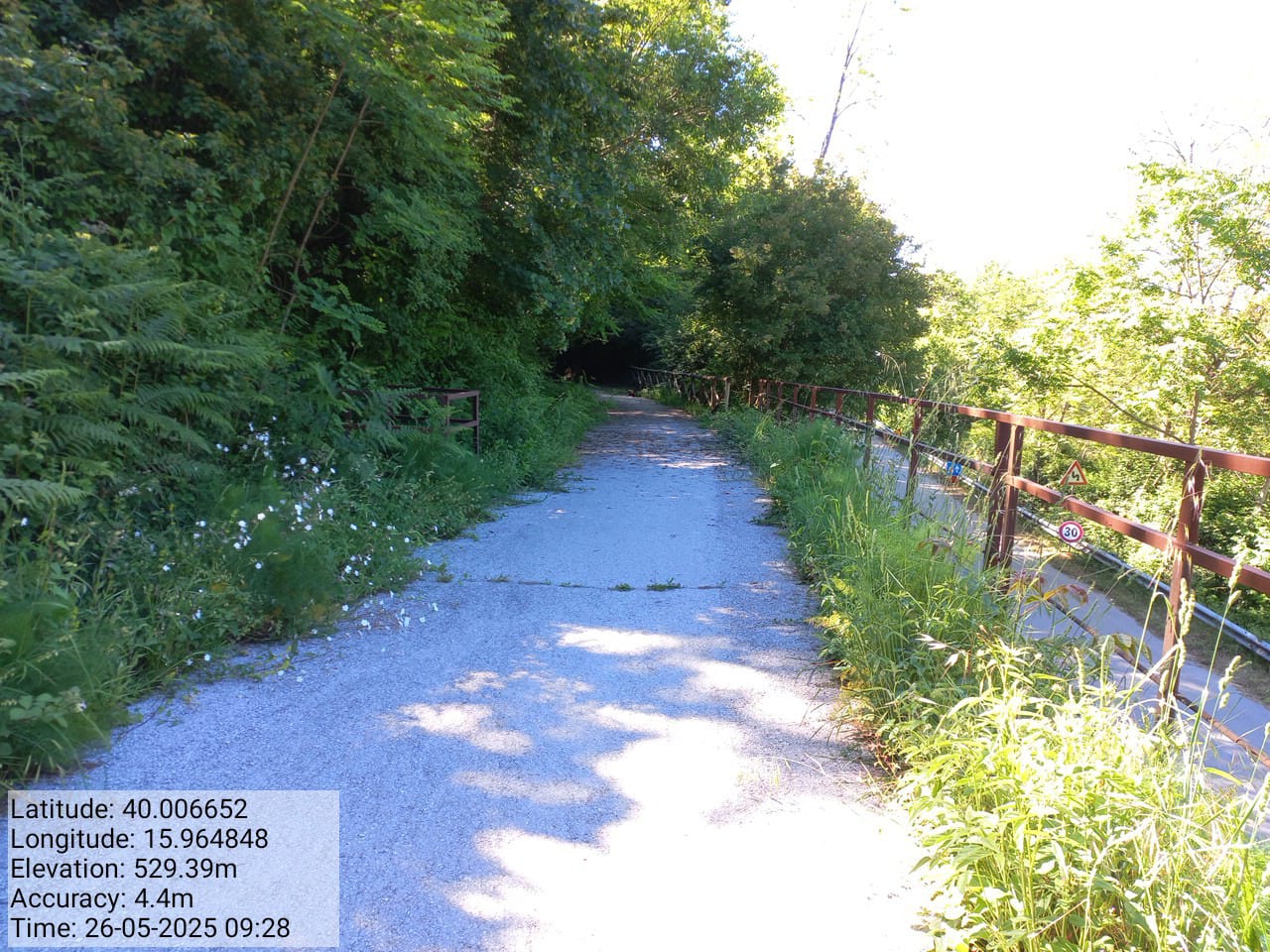 Galleria Fotografica Immagine