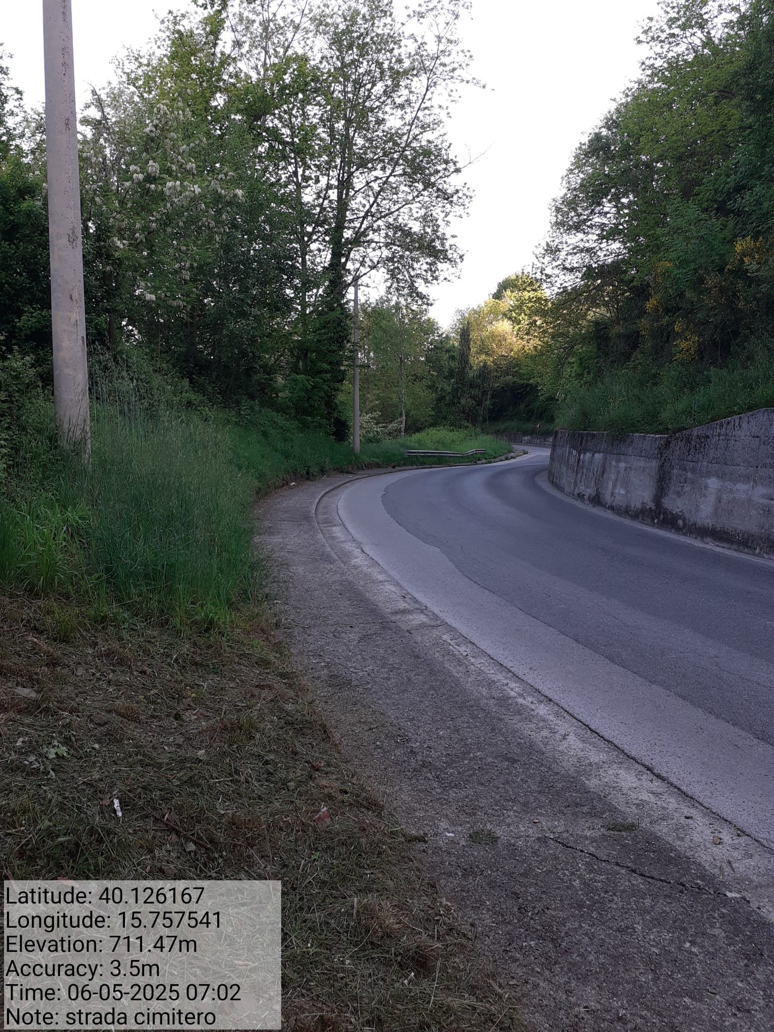 Galleria Fotografica Immagine