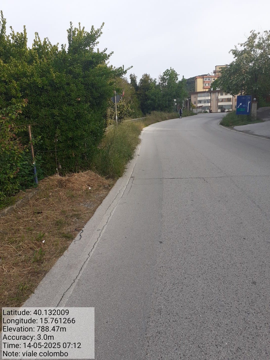 Galleria Fotografica Immagine