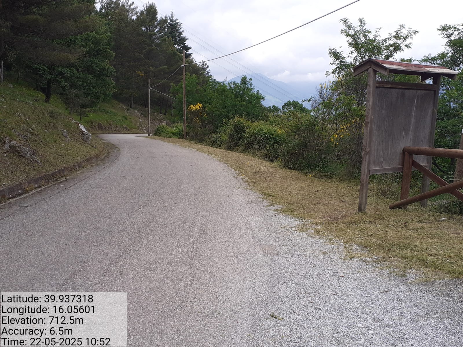 Galleria Fotografica Immagine