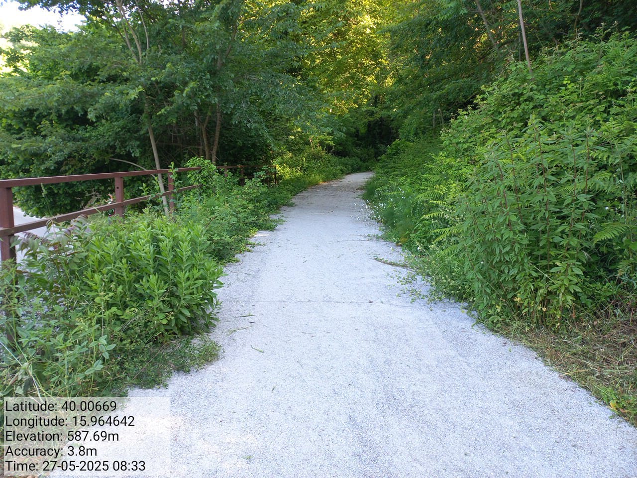 Galleria Fotografica Immagine