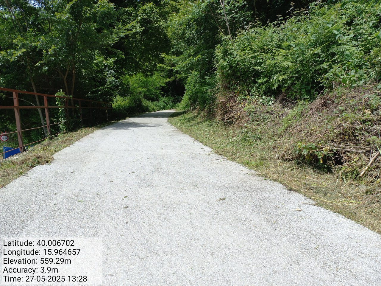 Galleria Fotografica Immagine