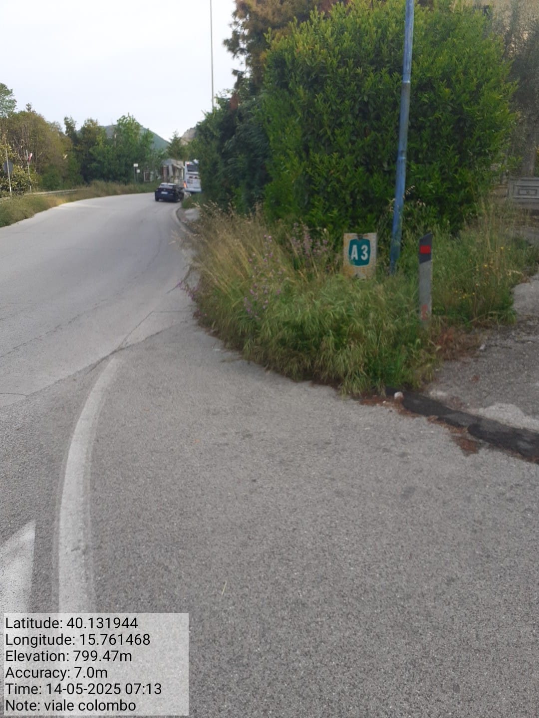 Galleria Fotografica Immagine