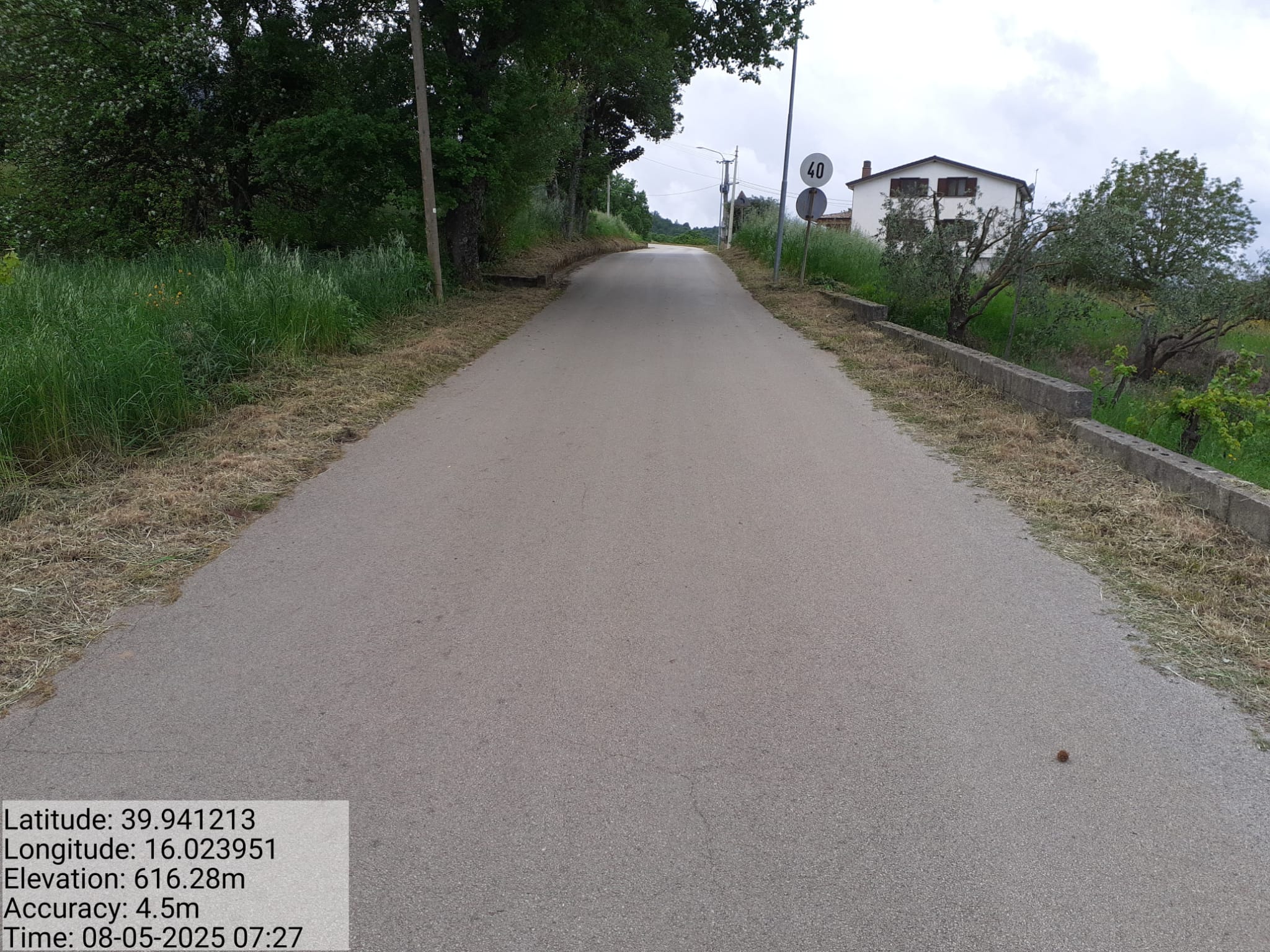 Galleria Fotografica Immagine