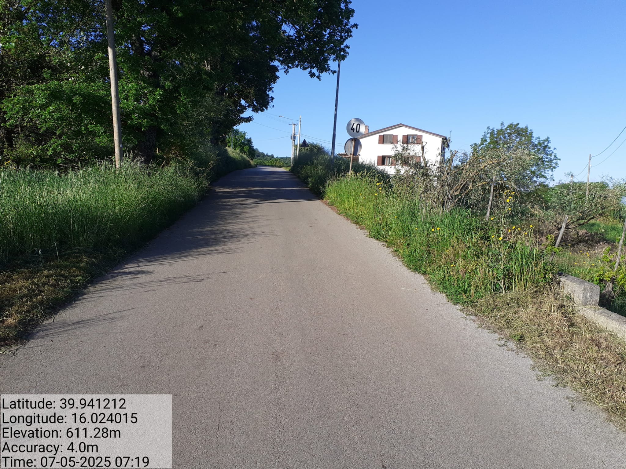 Galleria Fotografica Immagine