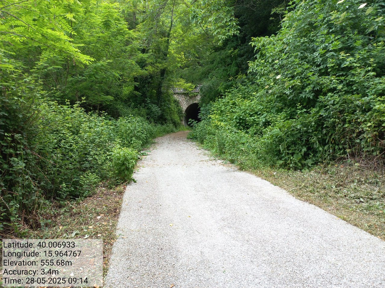 Galleria Fotografica Immagine