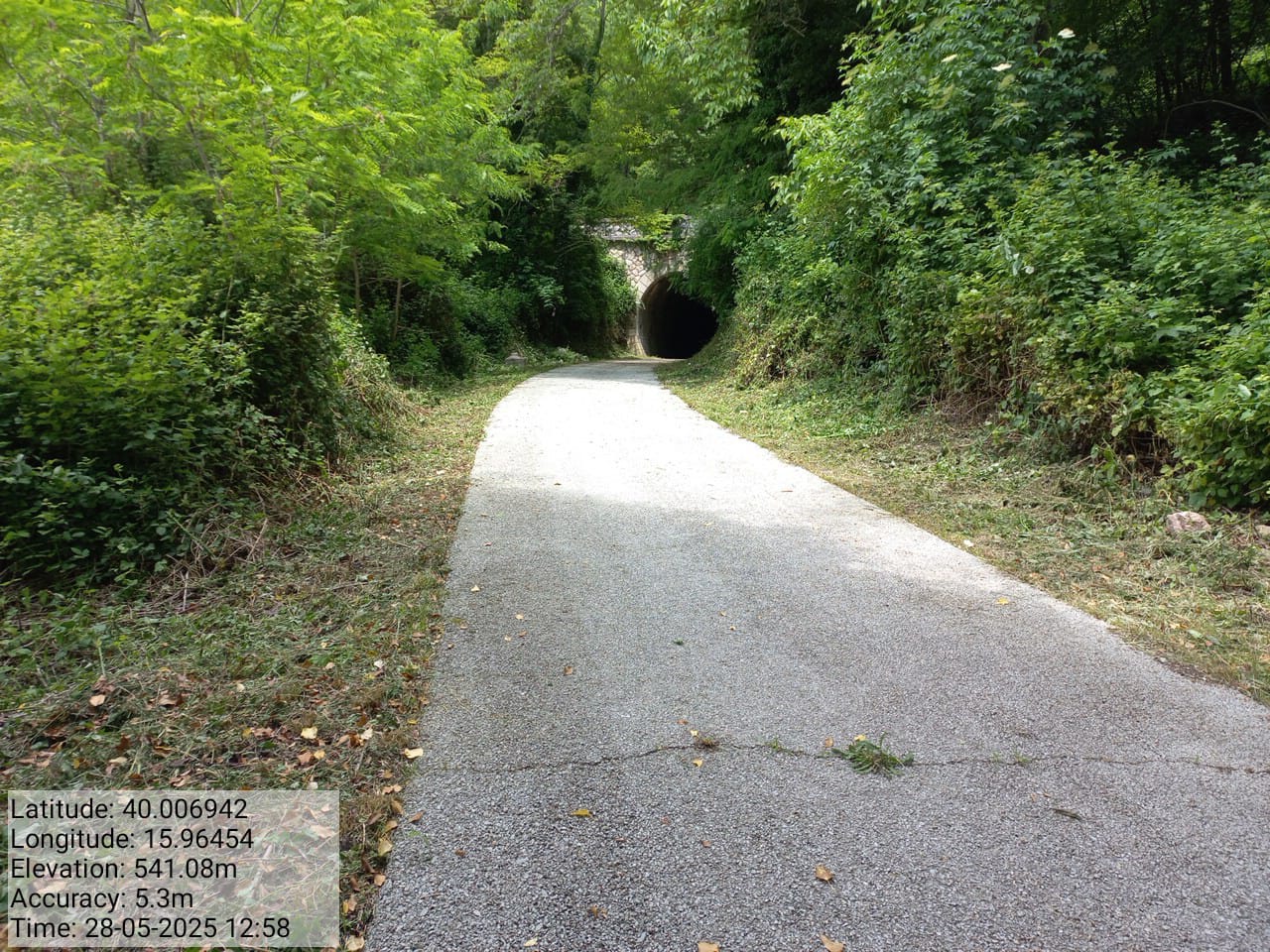 Galleria Fotografica Immagine