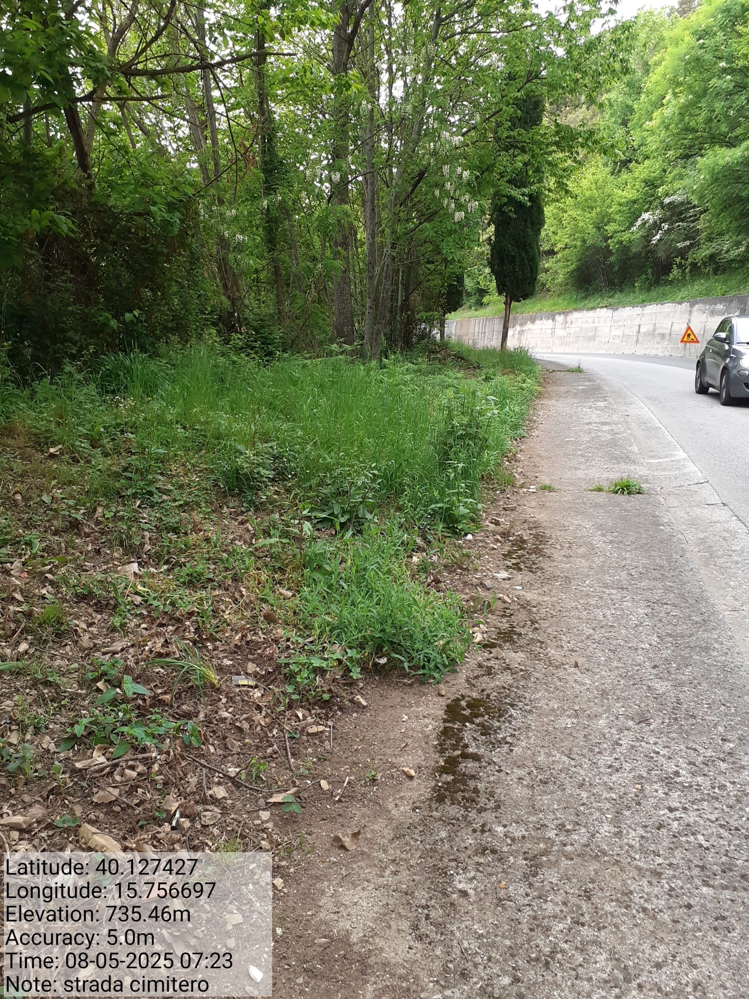 Galleria Fotografica Immagine