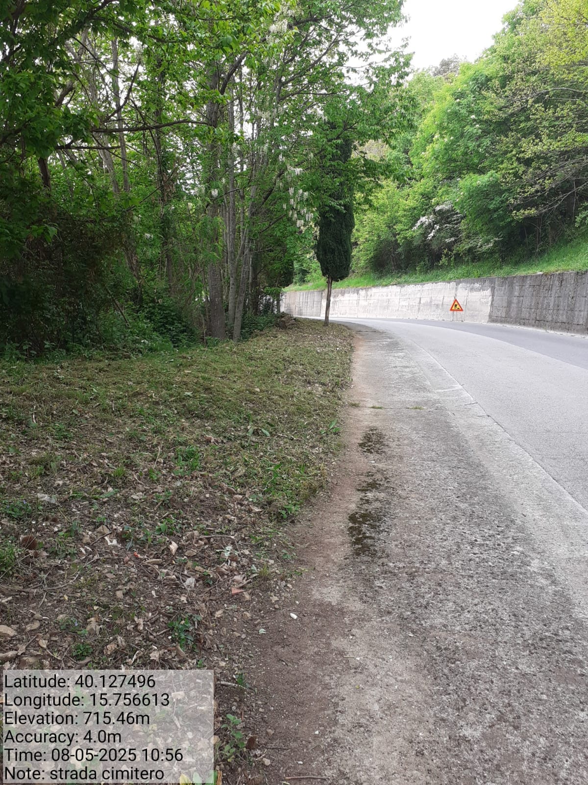 Galleria Fotografica Immagine