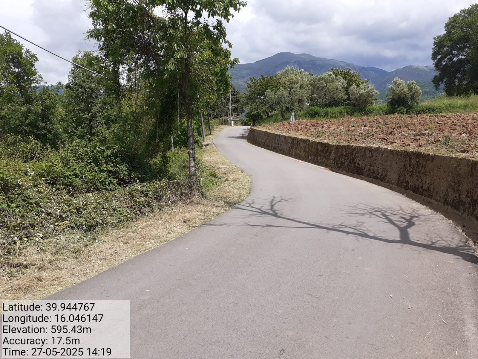 Galleria Fotografica Immagine