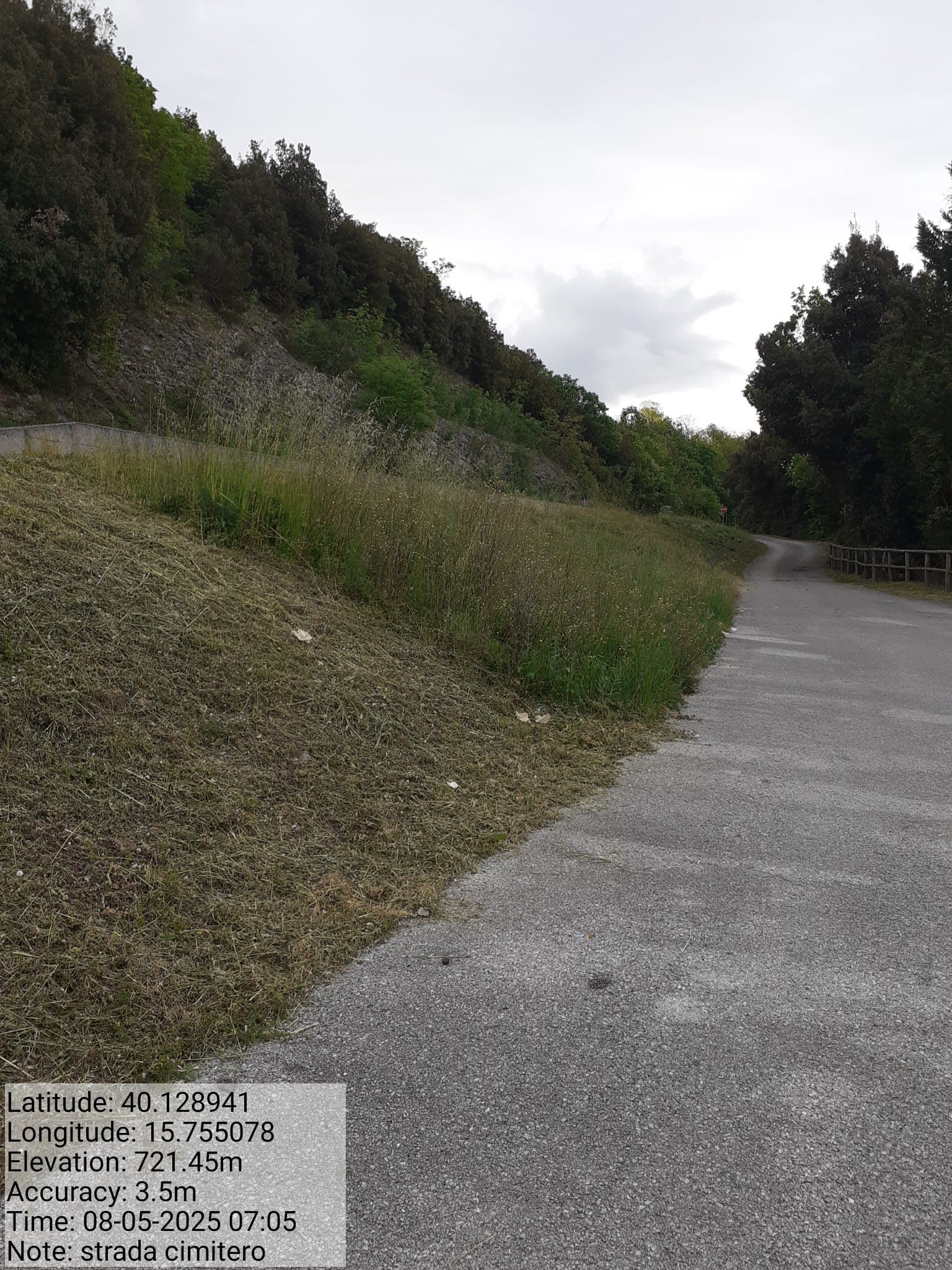 Galleria Fotografica Immagine