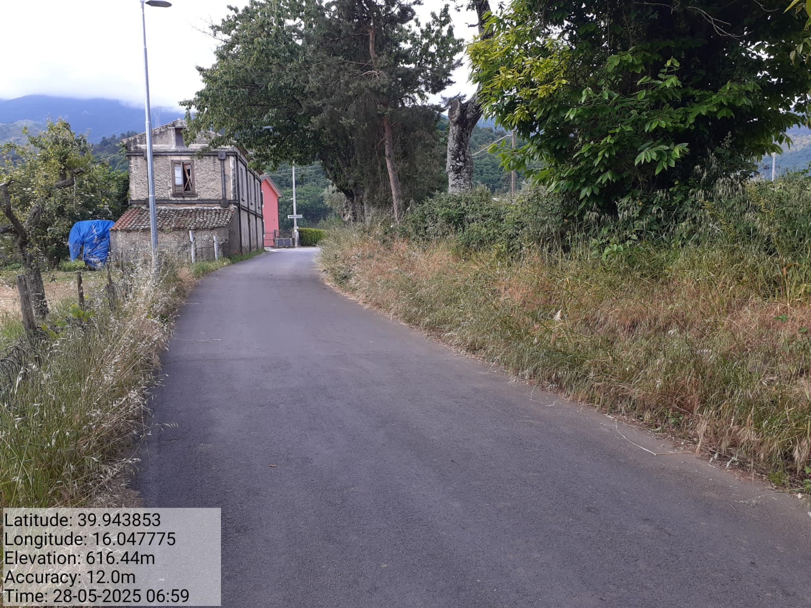 Galleria Fotografica Immagine