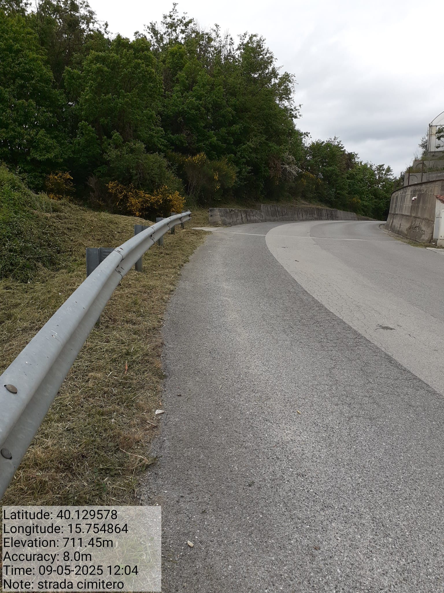 Galleria Fotografica Immagine