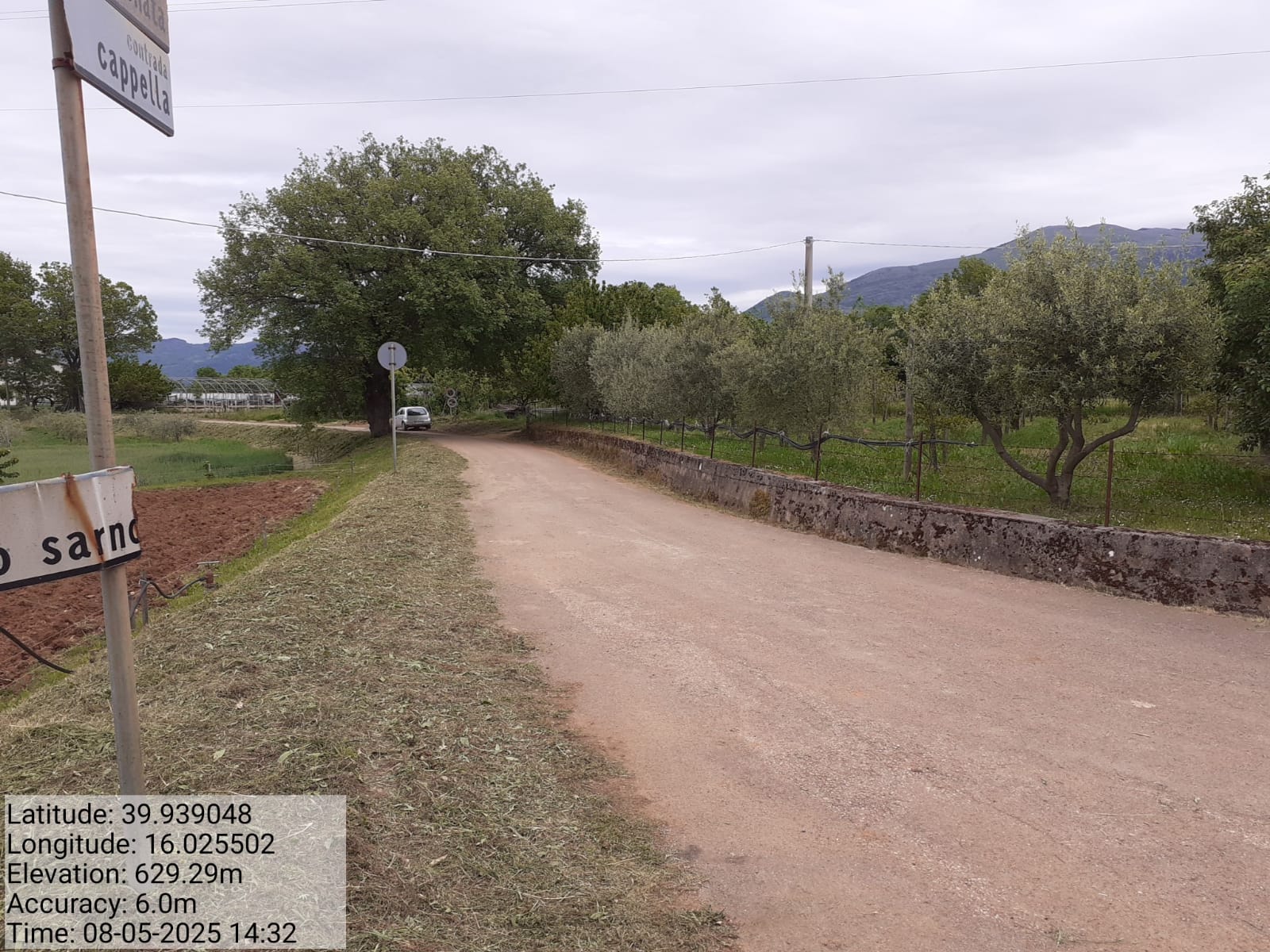 Galleria Fotografica Immagine