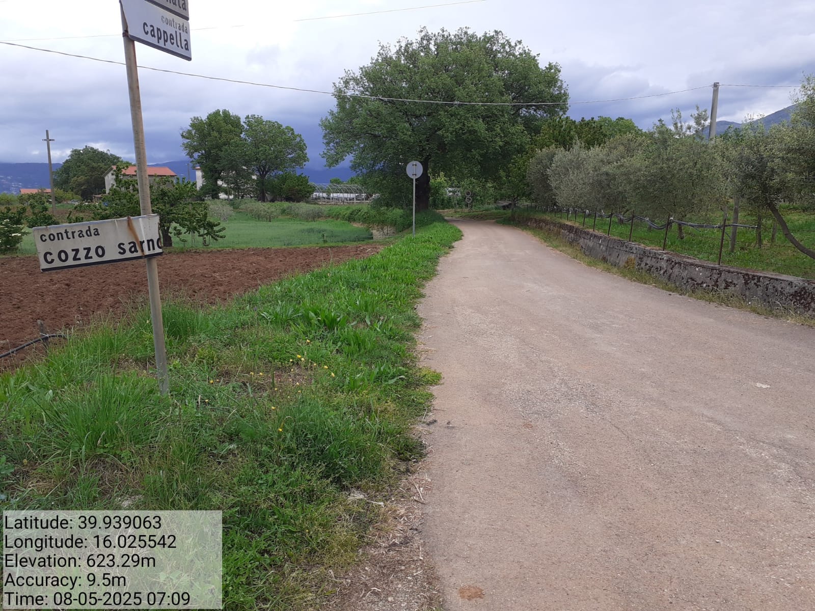 Galleria Fotografica Immagine