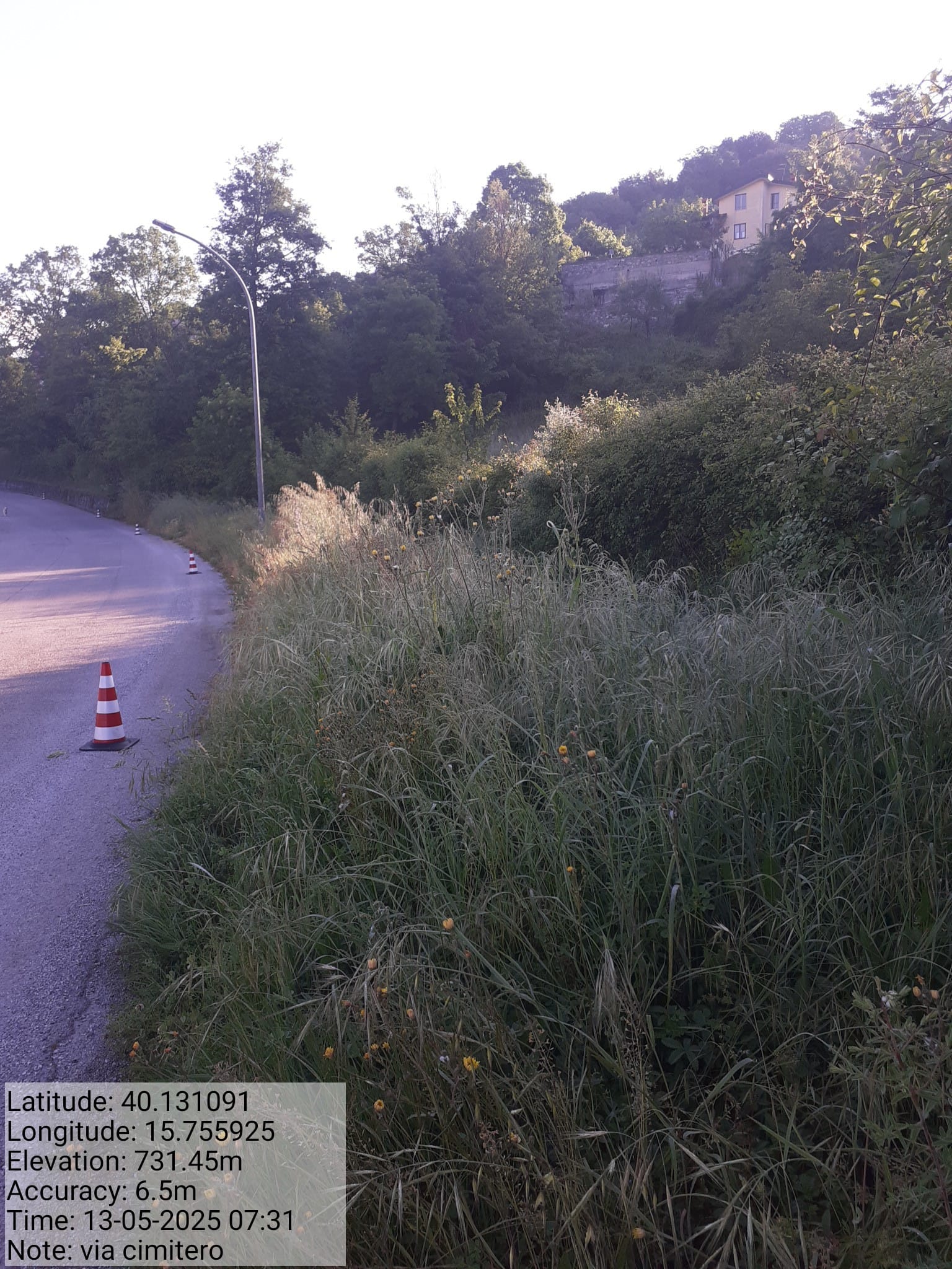 Galleria Fotografica Immagine