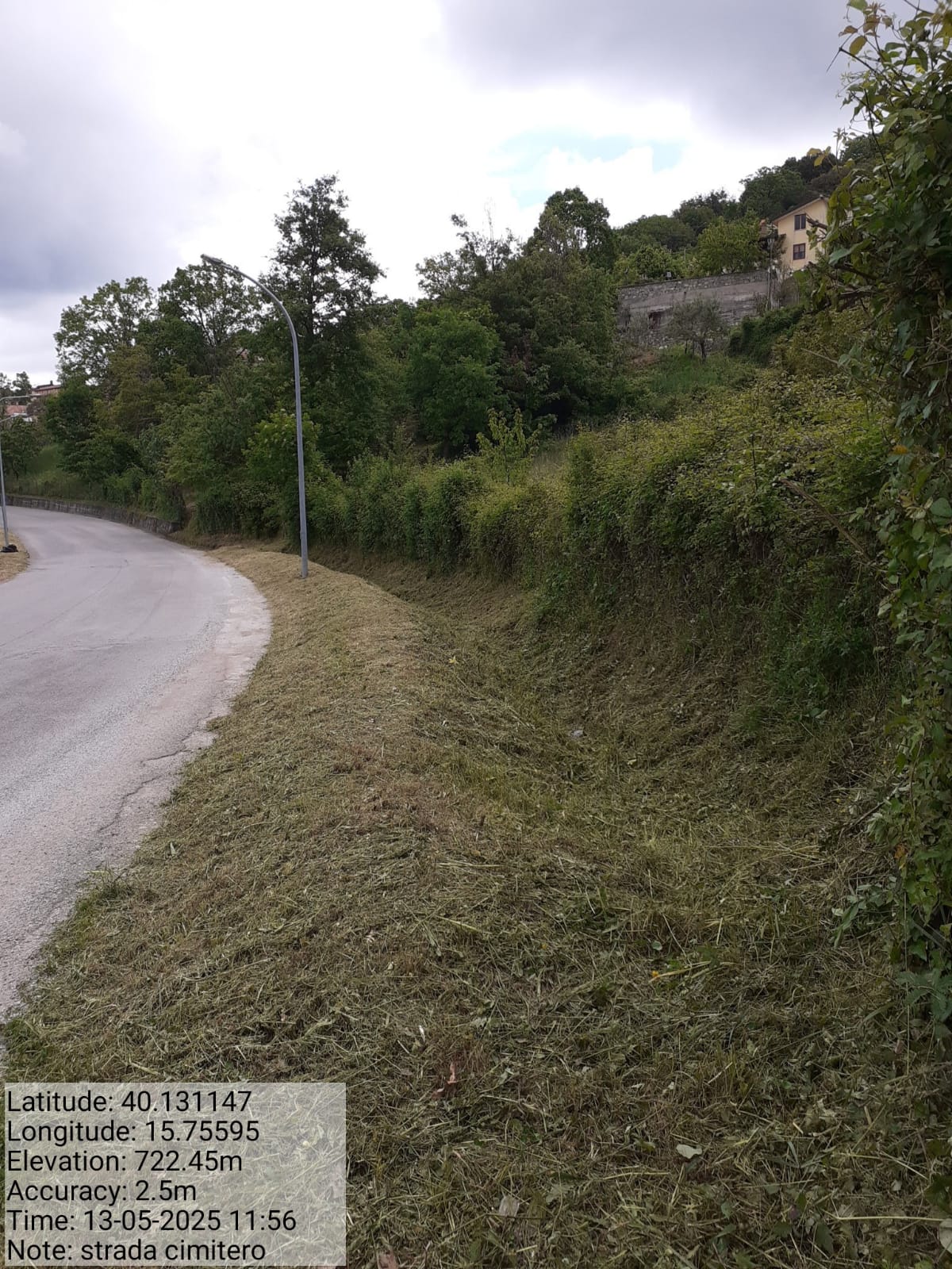 Galleria Fotografica Immagine