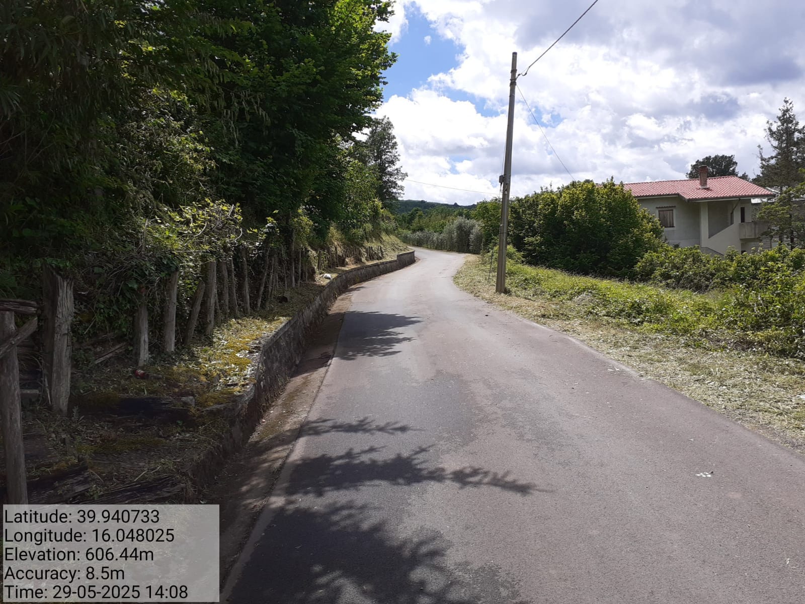 Galleria Fotografica Immagine