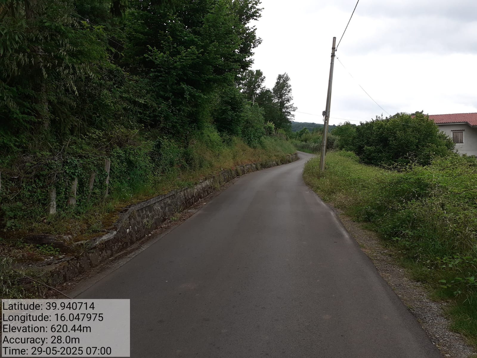 Galleria Fotografica Immagine