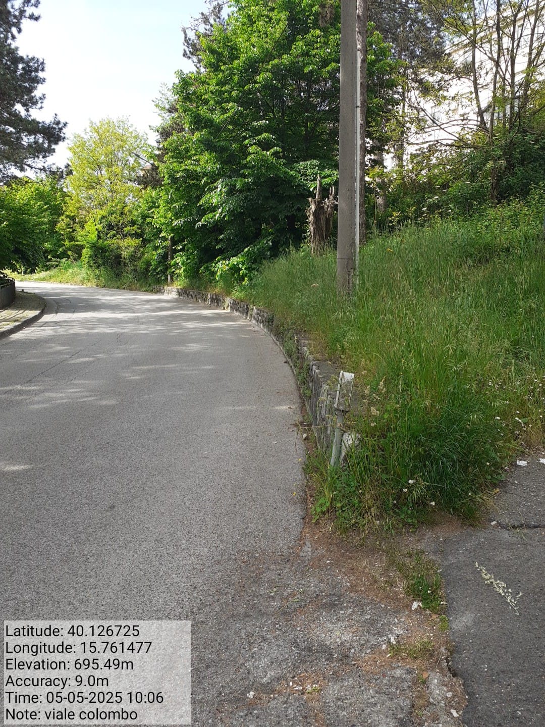 Galleria Fotografica Immagine