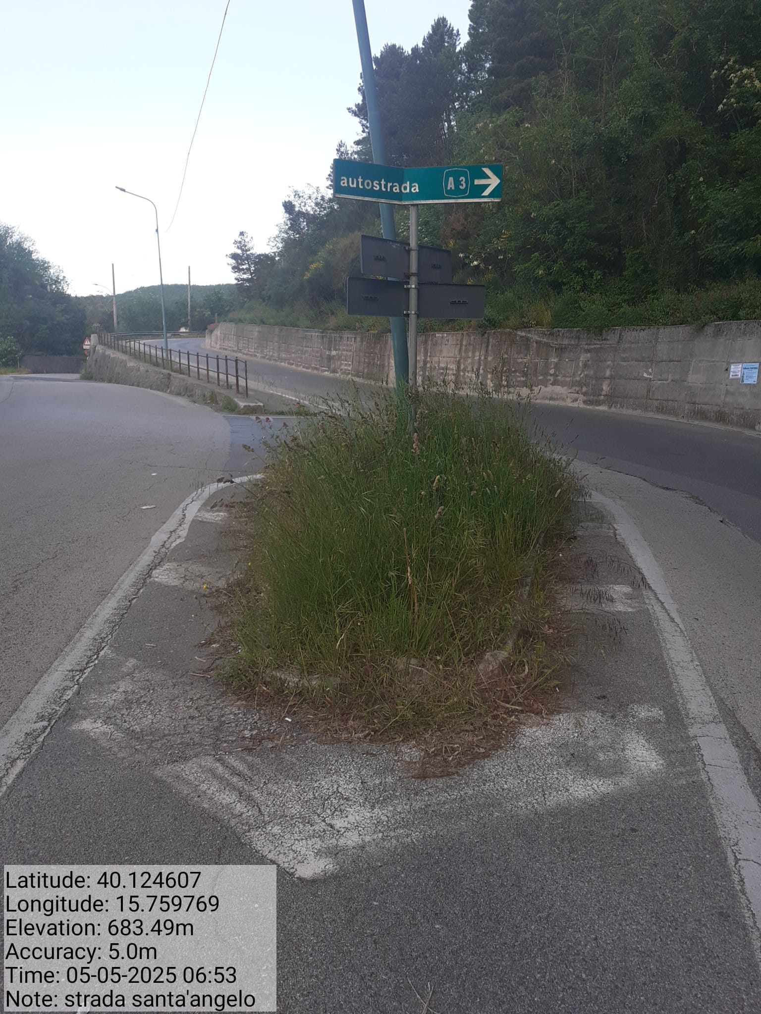 Galleria Fotografica Immagine