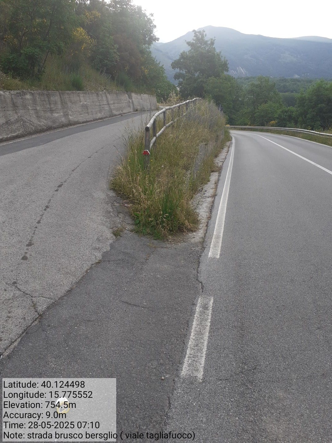 Galleria Fotografica Immagine