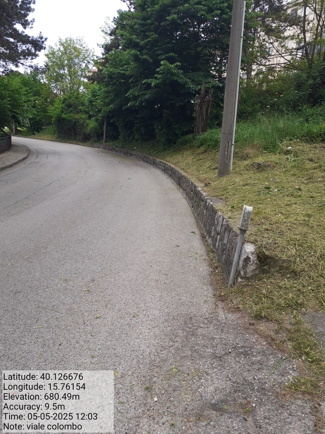 Galleria Fotografica Immagine