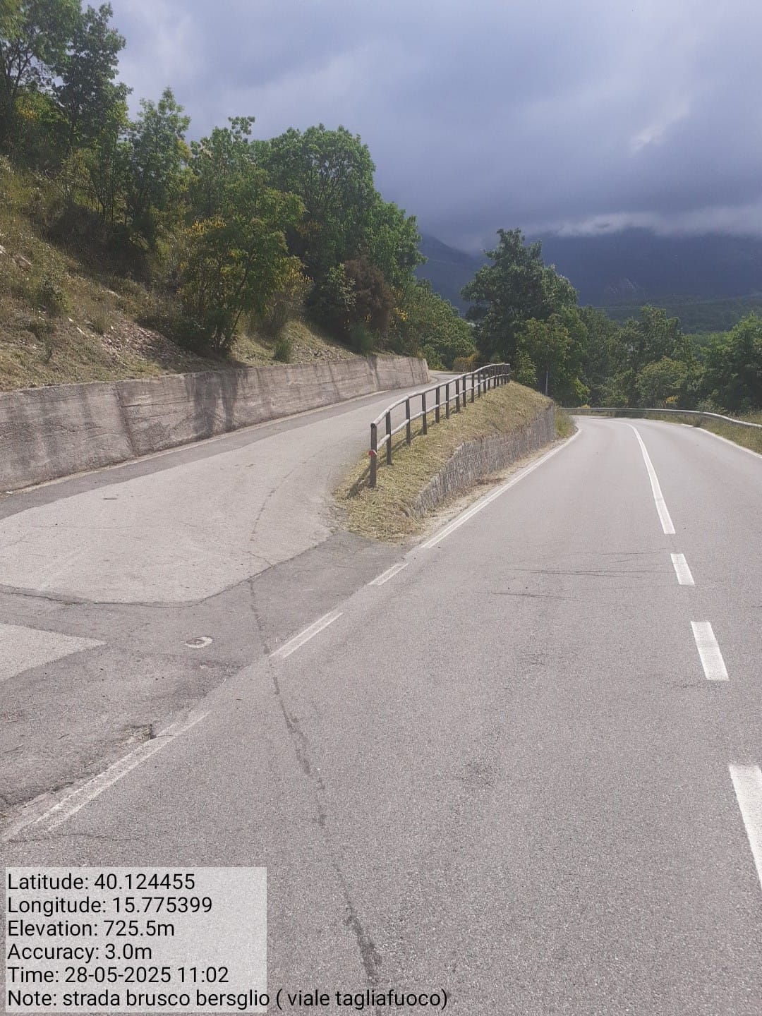 Galleria Fotografica Immagine