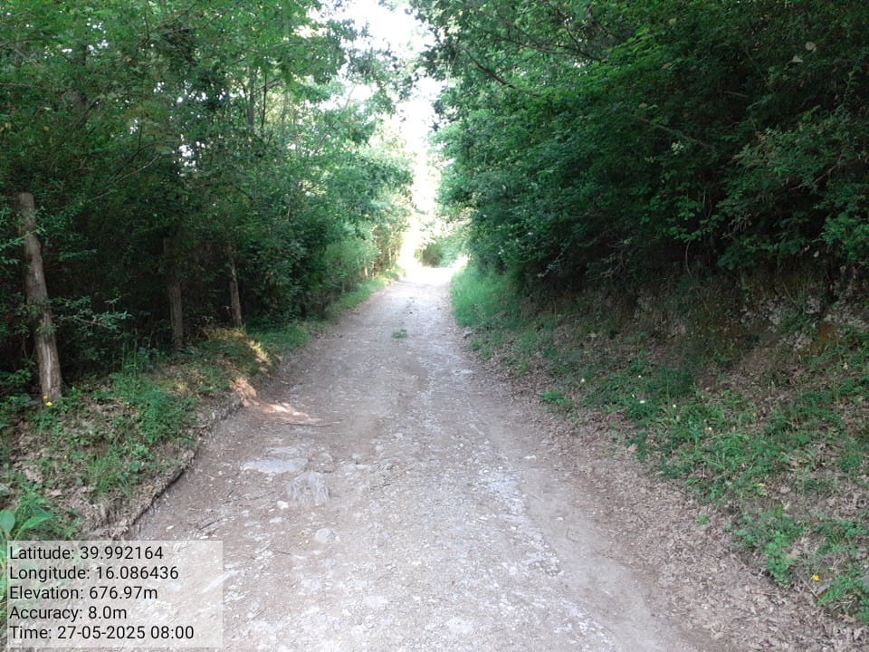 Galleria Fotografica Immagine