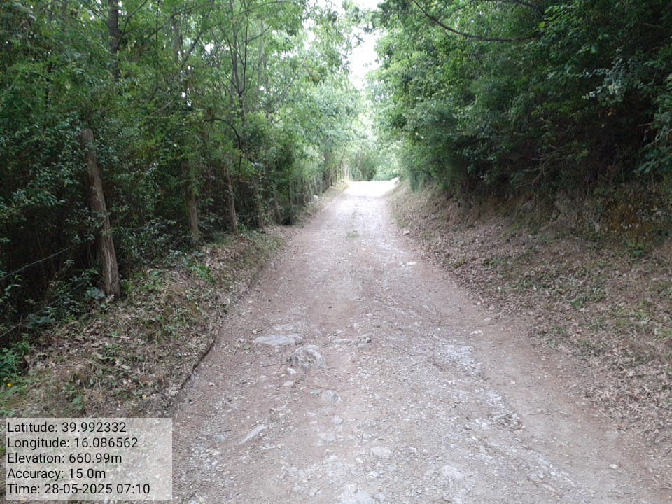 Galleria Fotografica Immagine