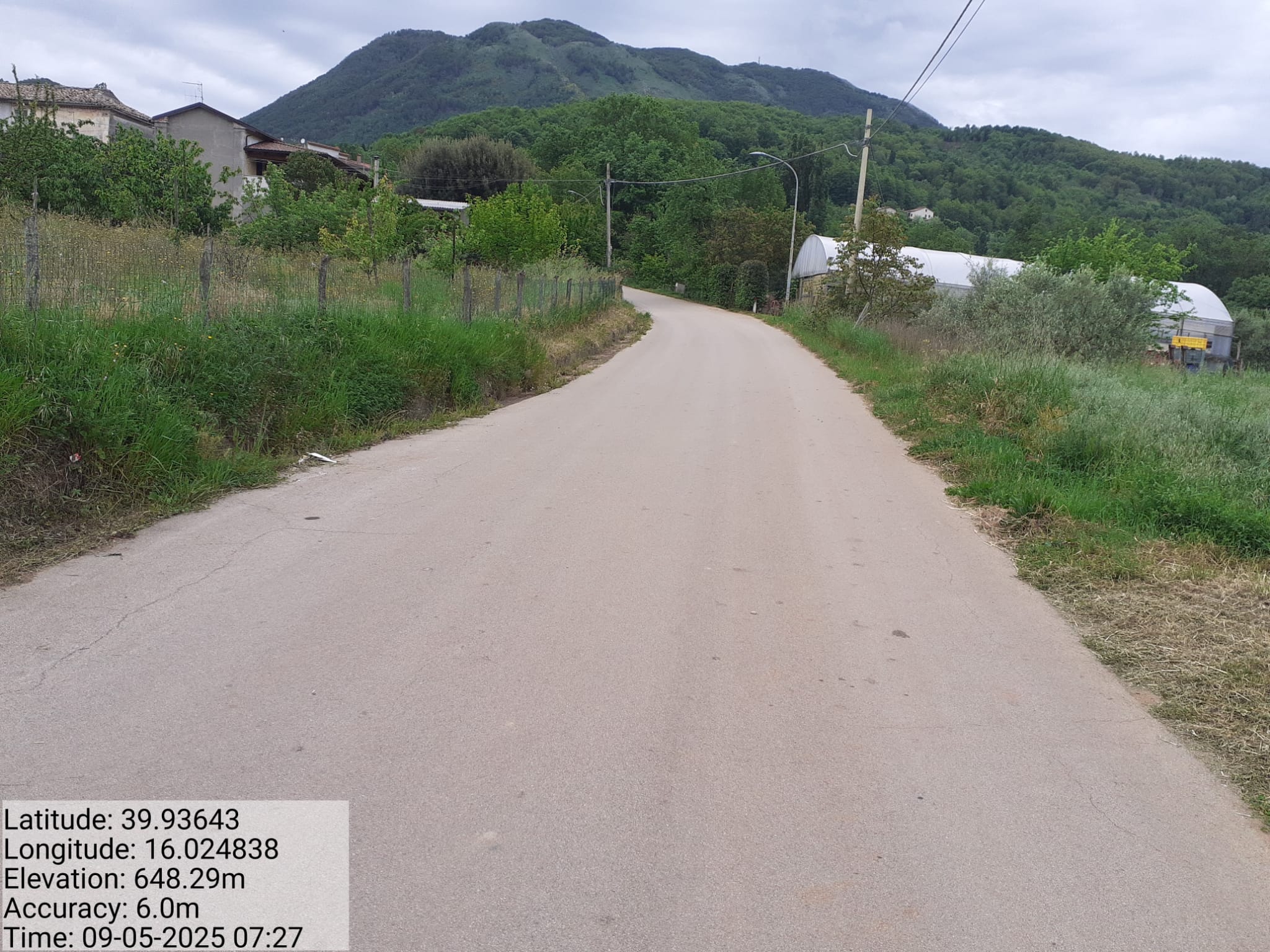 Galleria Fotografica Immagine