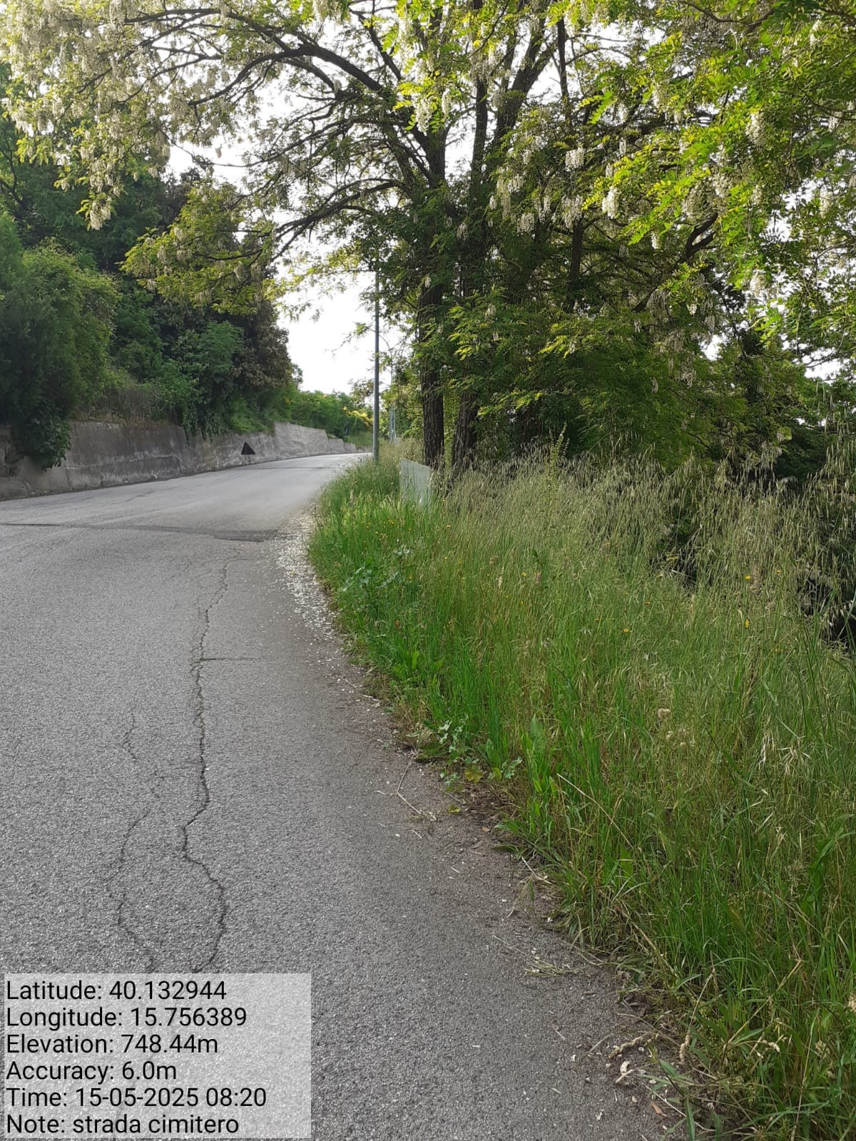 Galleria Fotografica Immagine