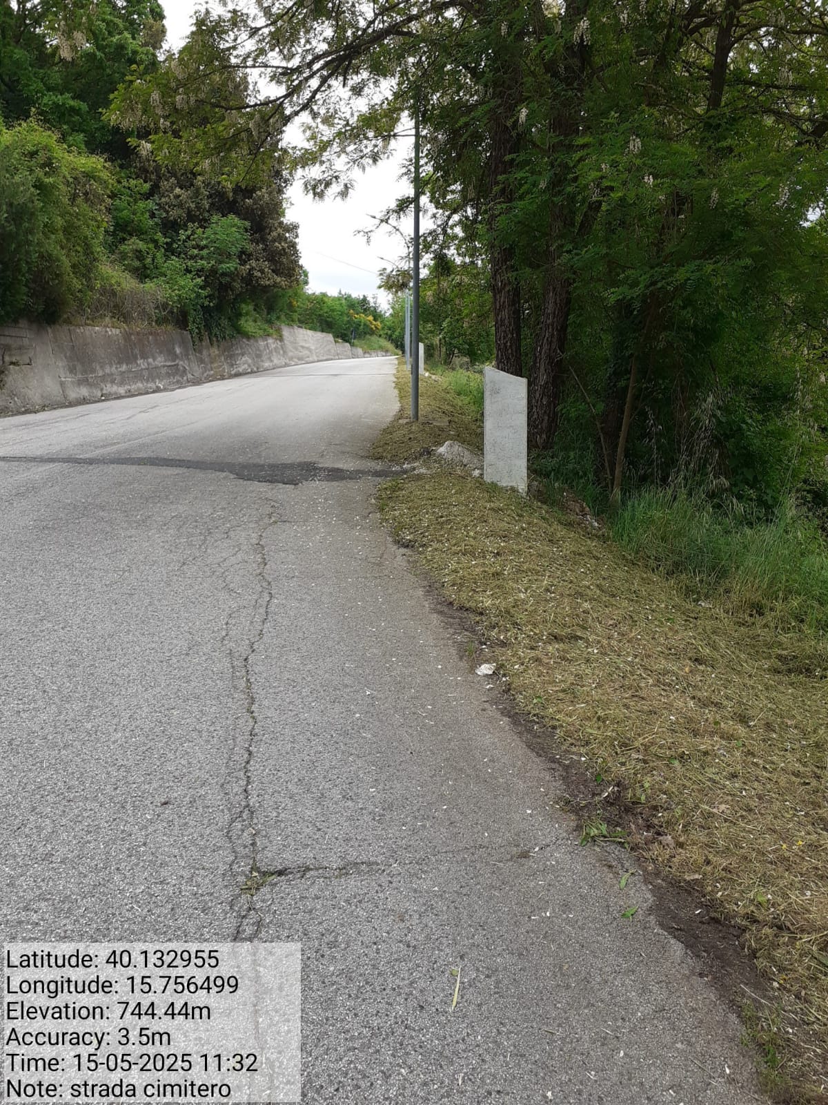 Galleria Fotografica Immagine