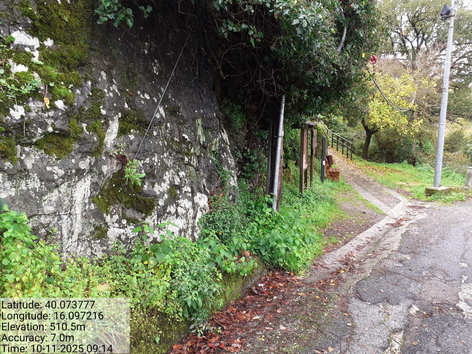 Galleria Fotografica Immagine