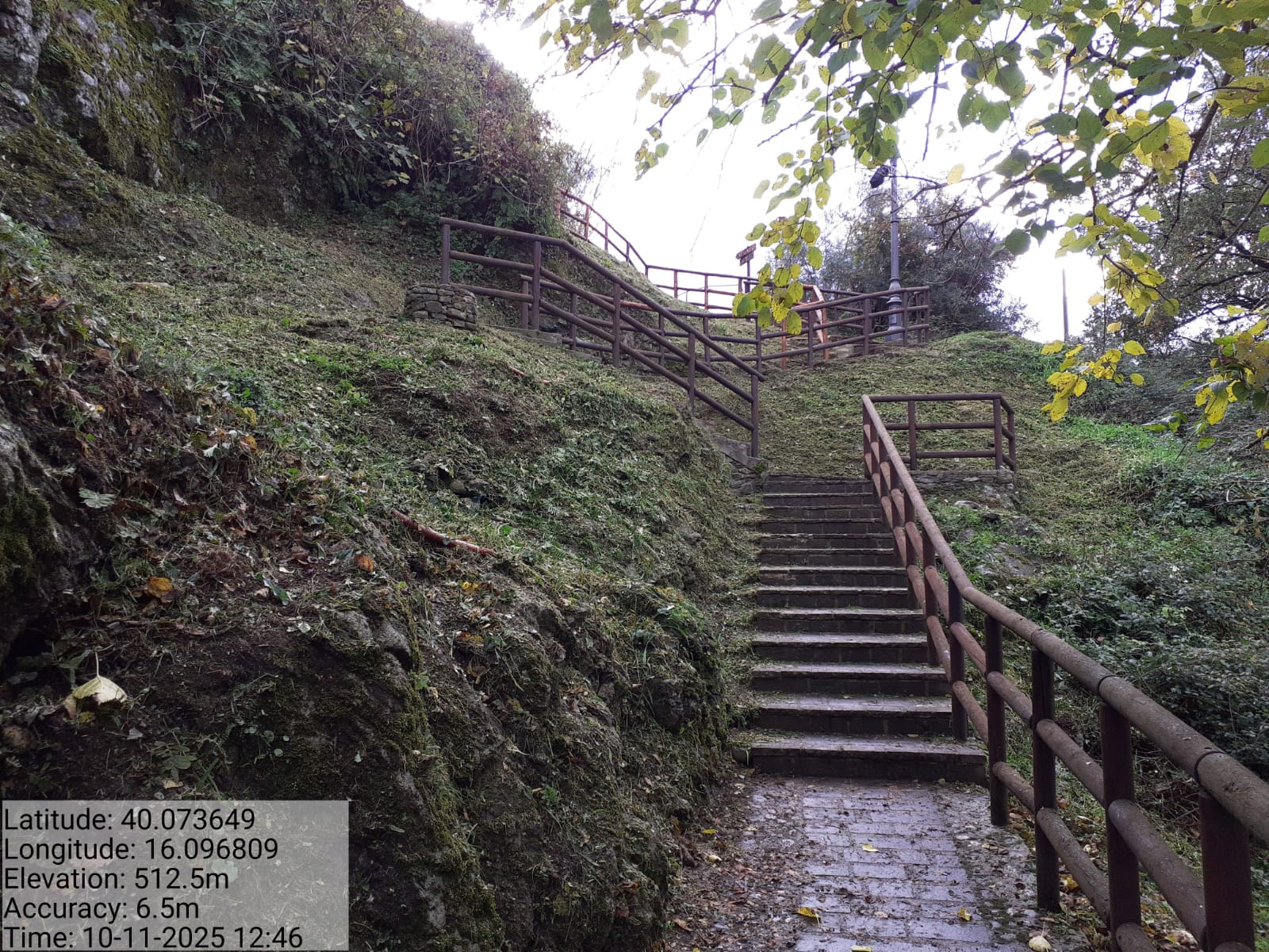 Galleria Fotografica Immagine