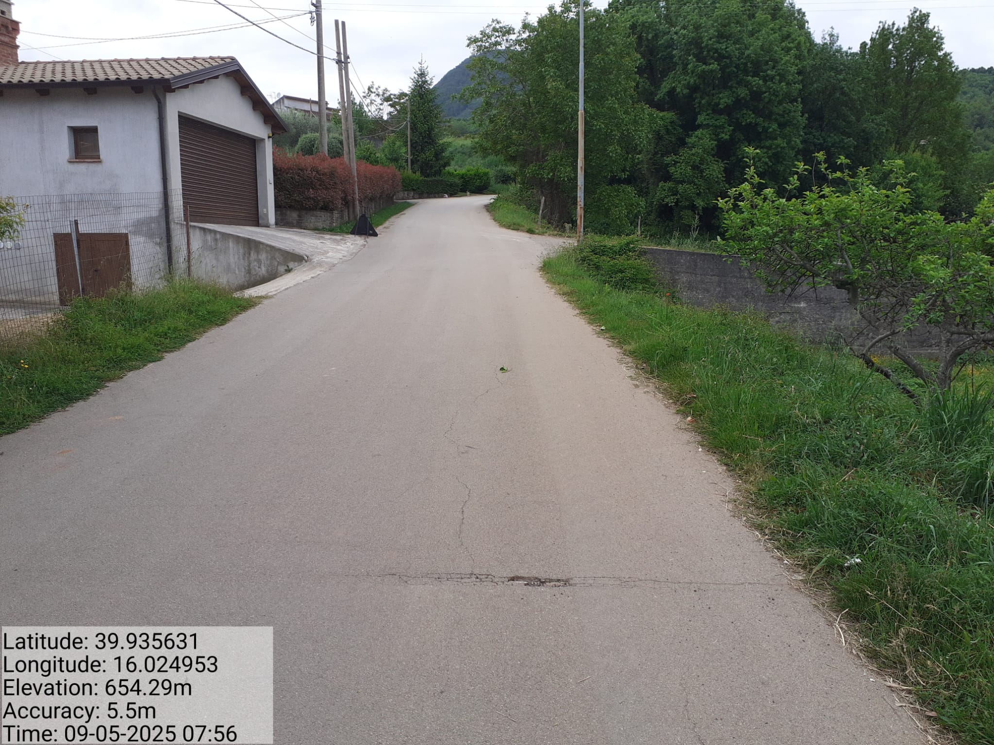 Galleria Fotografica Immagine