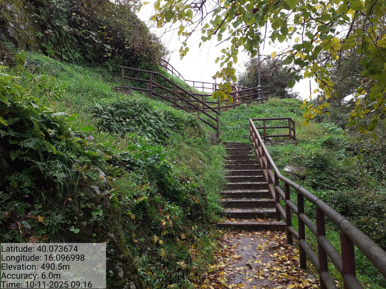 Galleria Fotografica Immagine