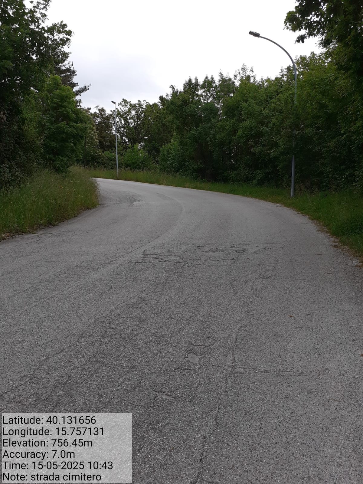 Galleria Fotografica Immagine