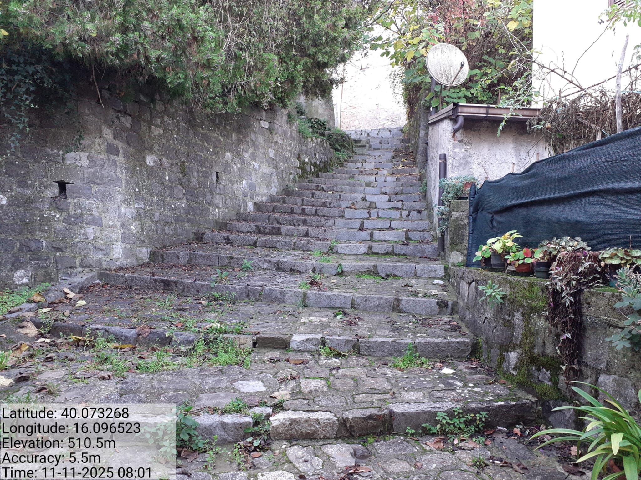 Galleria Fotografica Immagine