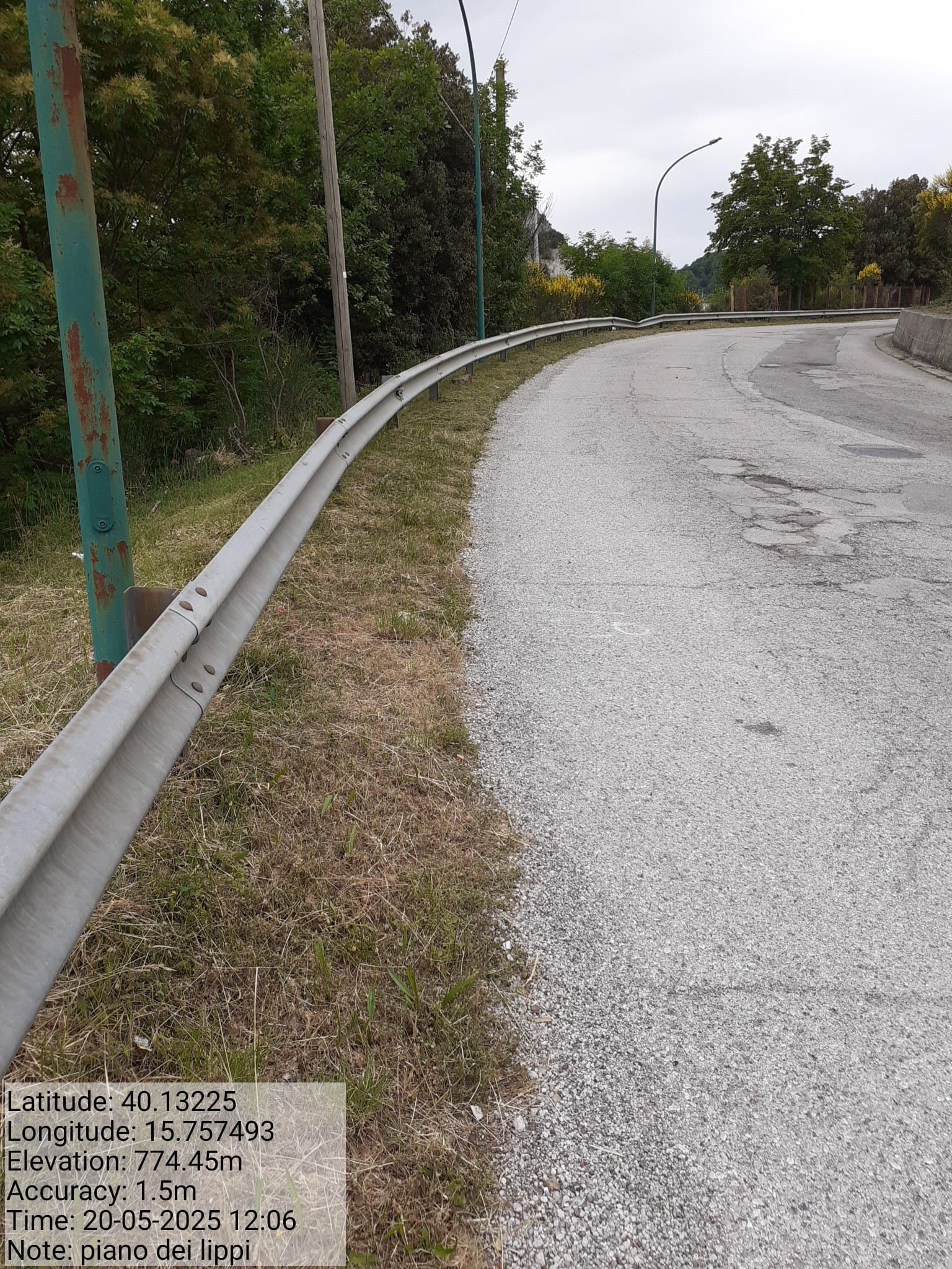 Galleria Fotografica Immagine