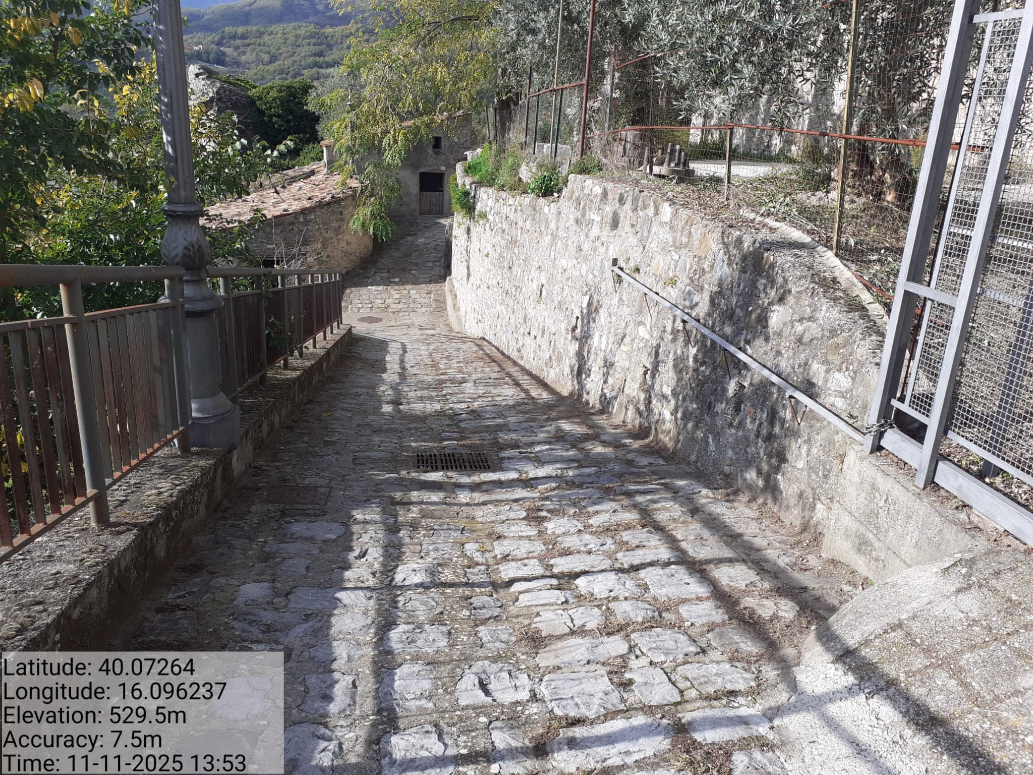 Galleria Fotografica Immagine