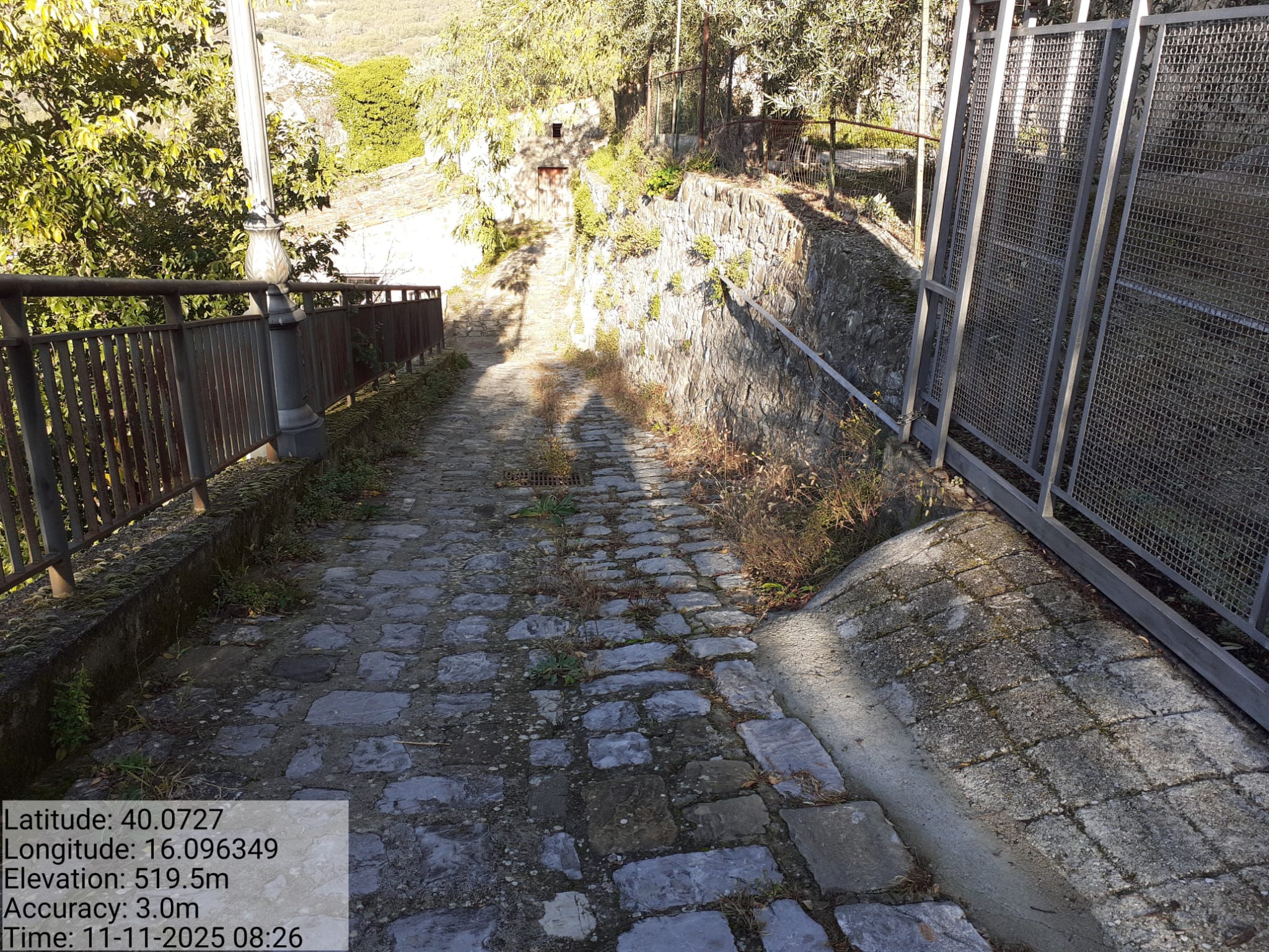 Galleria Fotografica Immagine