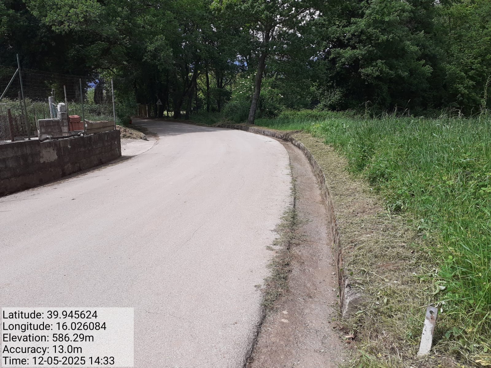 Galleria Fotografica Immagine