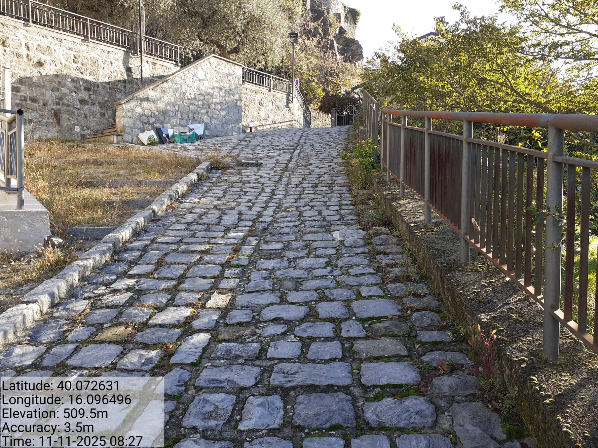 Galleria Fotografica Immagine