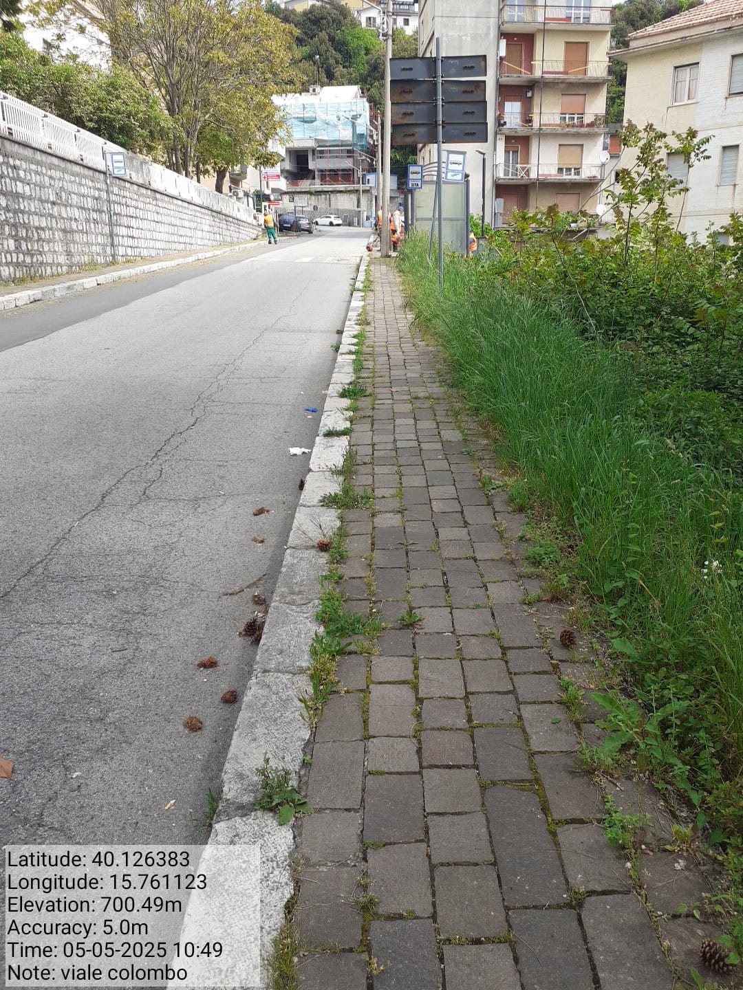 Galleria Fotografica Immagine