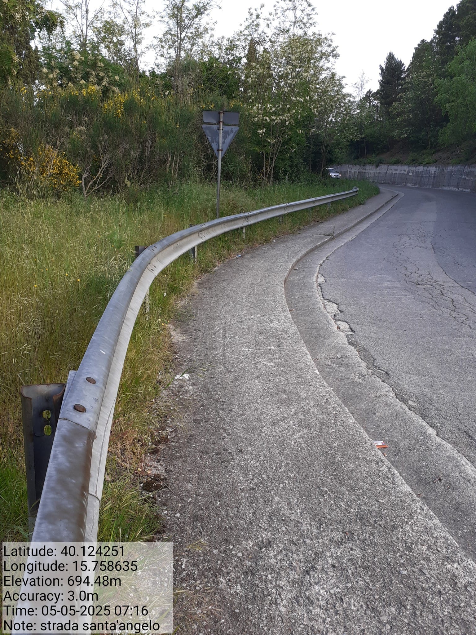 Galleria Fotografica Immagine